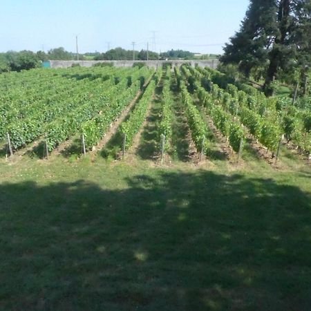 Au Clos De L'Epinay Vouvray Dış mekan fotoğraf