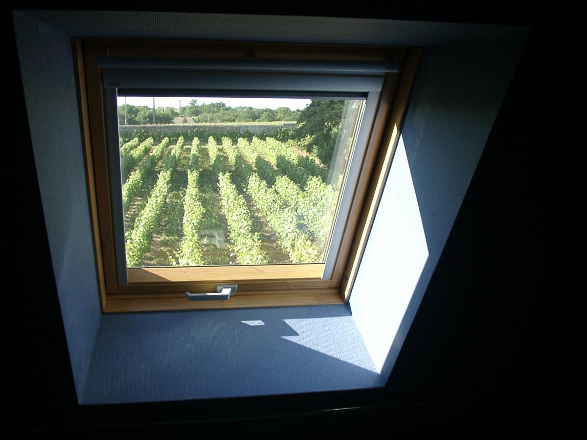 Au Clos De L'Epinay Vouvray Dış mekan fotoğraf