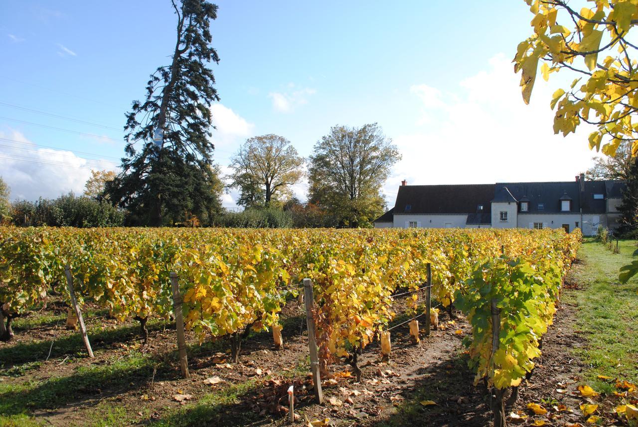 Au Clos De L'Epinay Vouvray Dış mekan fotoğraf