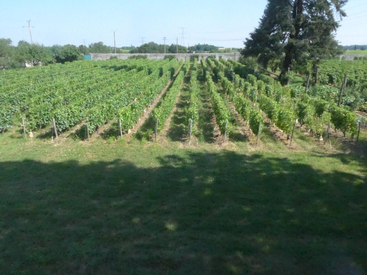 Au Clos De L'Epinay Vouvray Dış mekan fotoğraf